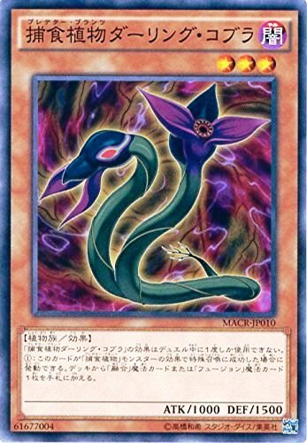 Amazon.co.jp: 捕食植物ダーリング・コブラ ノーマル 遊戯王